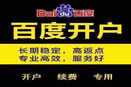 百度推广费用与广告创意结合的案例研究
